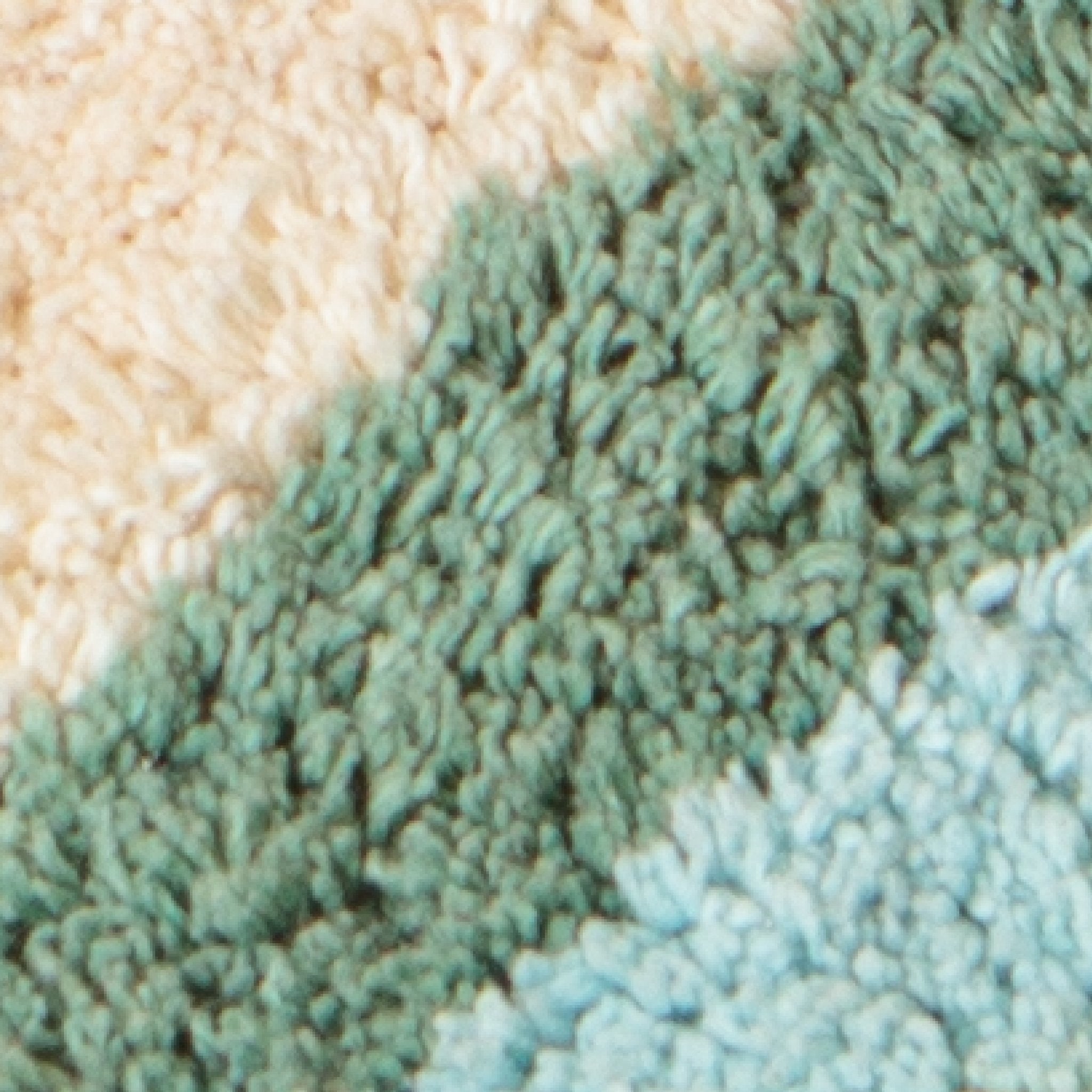 Rainbow Runner - Peachy Parrot